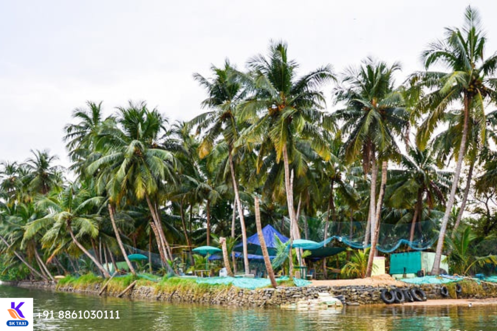 Udupi to Mangalore taxi Services