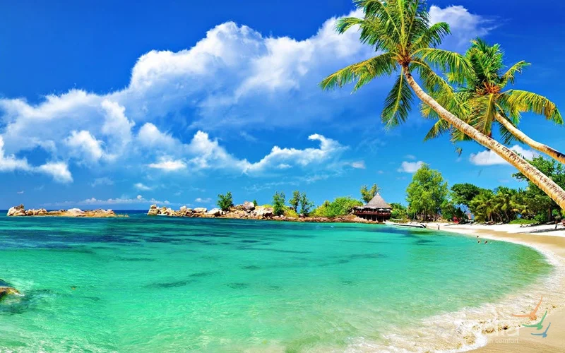 Splendid-Beach-Tour-Of-Mangalore-Goa1